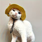 Chapeau Large à Lien Réglable pour Chats – Protection Solaire Respirante