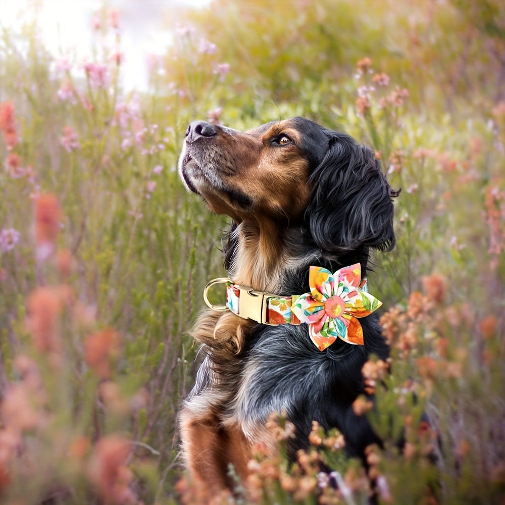 Collier Fleuri (fleur amovible) pour Chien