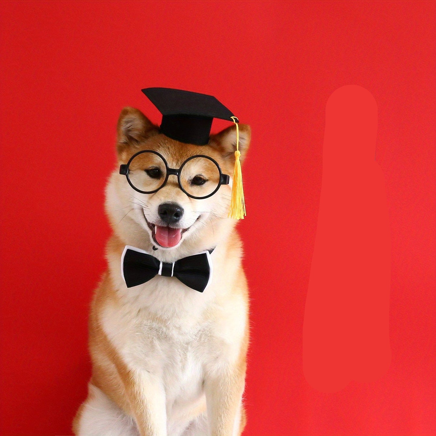 Déguisement de Remise de Diplôme pour Chat – Chapeau, Lunettes et Nœud Papillon