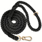 Laisse Colorée Pastel 1,5M pour Chien