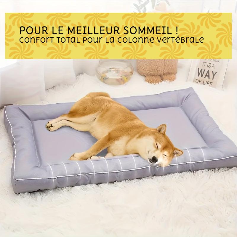 Lit format Coussin rectangulaire lavable pour Chien