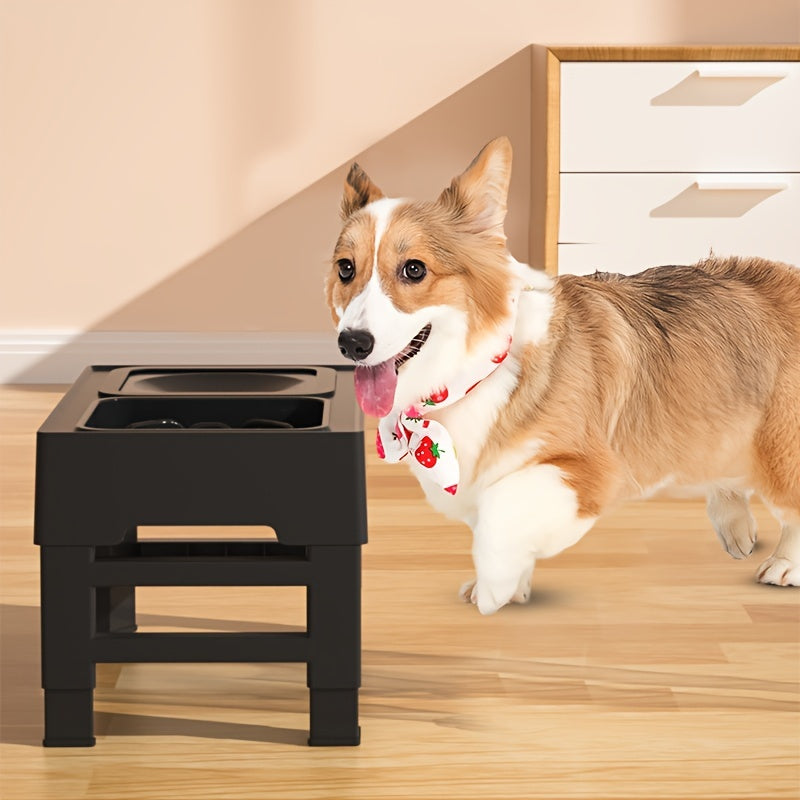 Double gamelle surélevée réglable avec bol anti-glouton