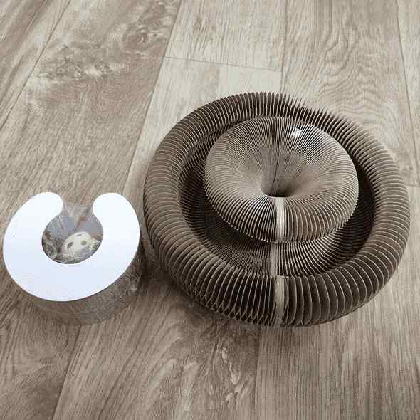 Jouet pliable piste-balle pour chat – Griffoir & divertissement