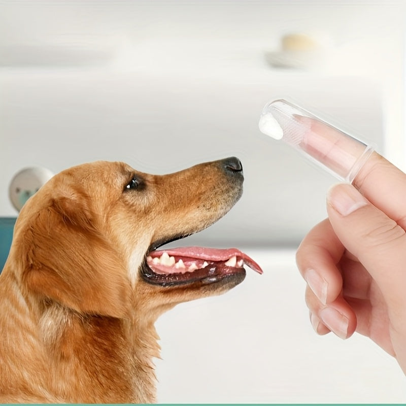 Kit d’Hygiène Dentaire pour Animaux - 2 Brosses et Dentifrice