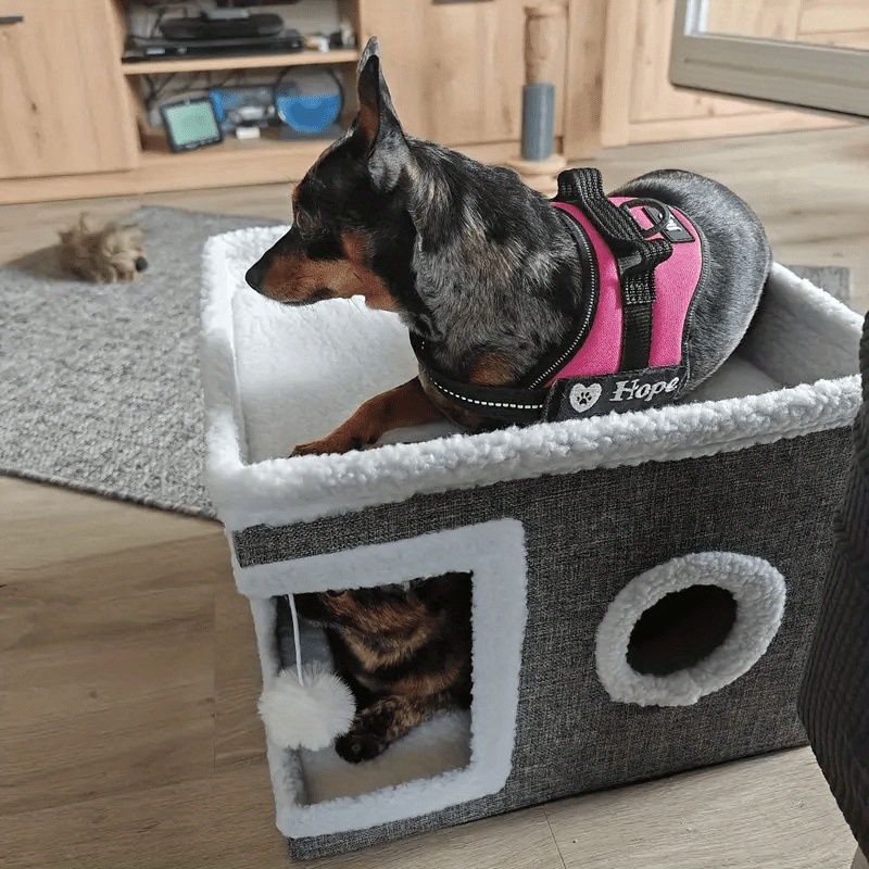 Maison Cube Multifonction pour Chats avec Aire de Jeu