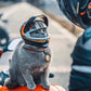 Casque Moto pour Chats – Mini Casque en PVC Style Motard