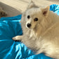 Tapis de Voyage Pliable pour Chien – Résistant et Confortable