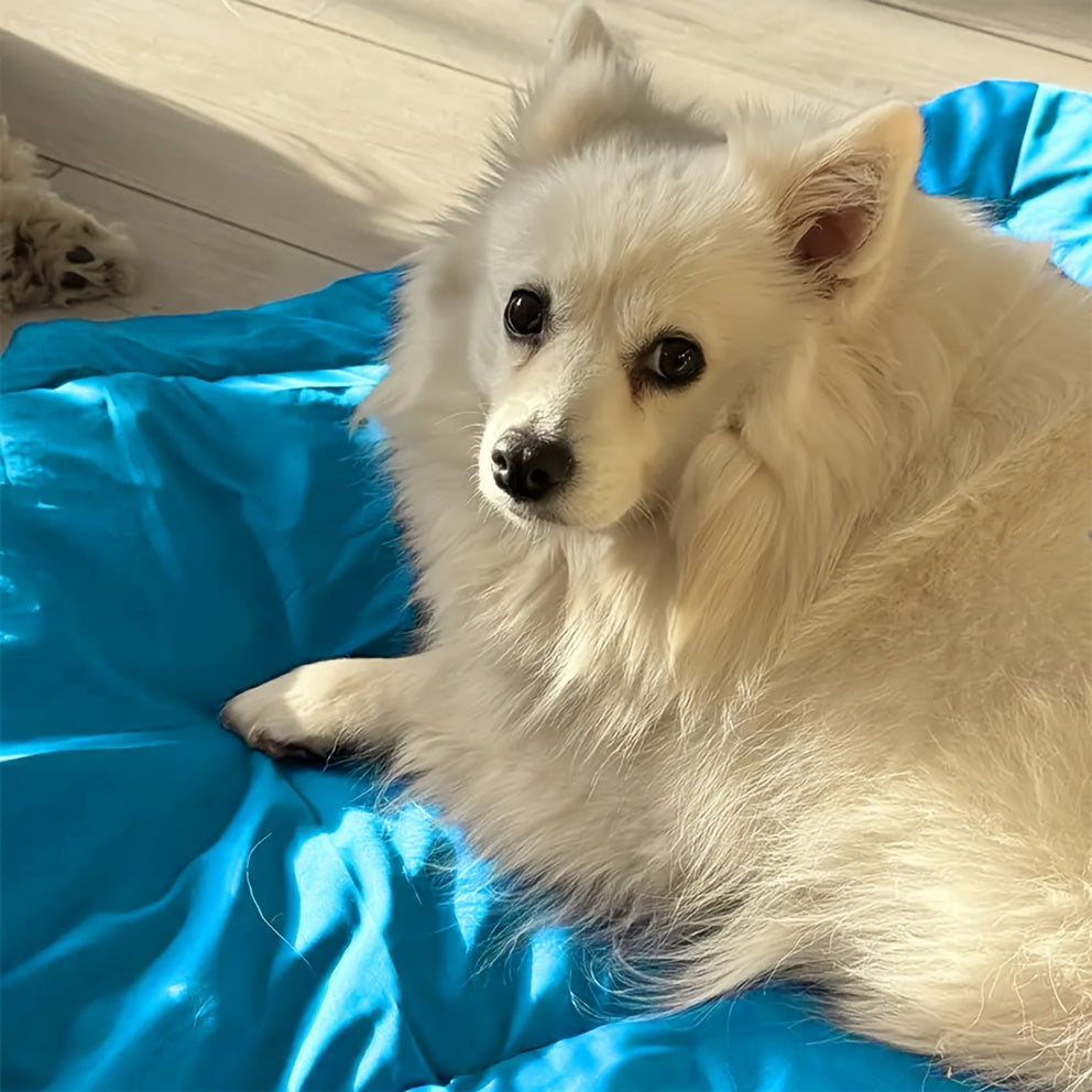 Tapis de Voyage Pliable pour Chien – Résistant et Confortable
