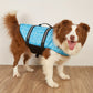 Gilet de Sauvetage Réfléchissant pour Chiens de Toutes Tailles
