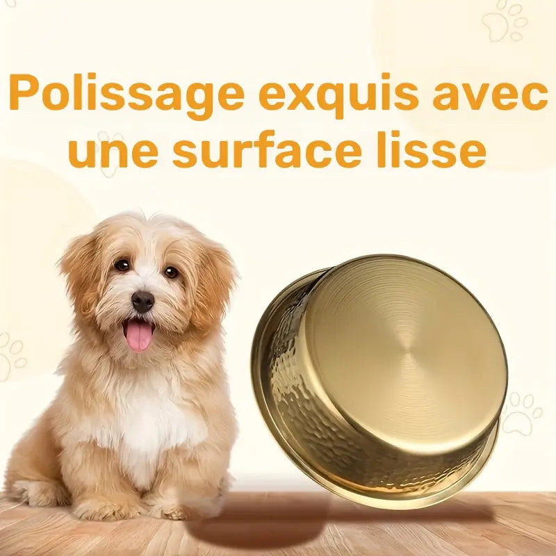 Gamelle inox martelée décorative pour chien et chat