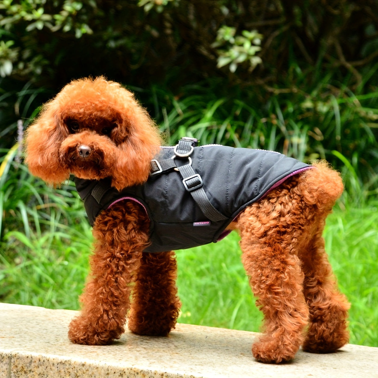 Veste Matelassée Rouge avec Harnais Intégré pour Chiens