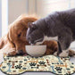 Tapis gamelle absorbant en diatomite pour Chien