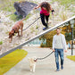 Laisse Elastique Mains Libres pour Chien