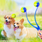 Lanceur de Balle Sport pour Chien – 50 cm