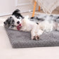 Coussin Moelleux Rectangulaire pour Chien et Chat