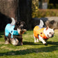 Gilet de Sauvetage Requin Réfléchissant pour Chiens