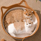 Panier Tressé Confort pour Chat – Design Oreilles & Queue
