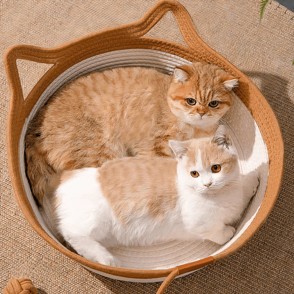 Panier Tressé Confort pour Chat – Design Oreilles & Queue