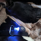 Médaillon Répulsif Ultrason Rechargeable pour Collier Chien