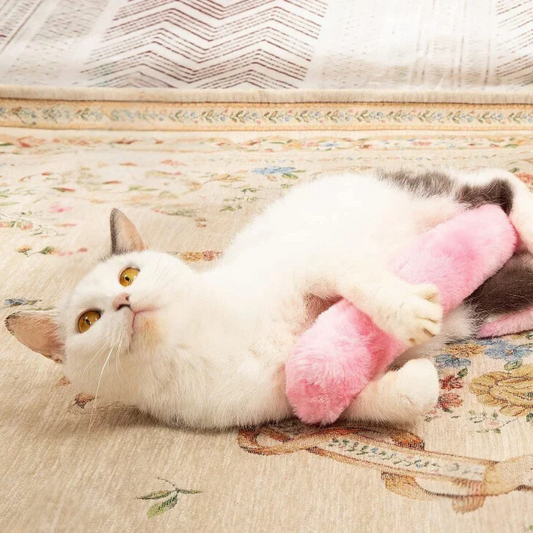 Coussin jouet à l’herbe à chat – Anti-stress & ludique
