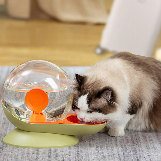 Fontaine à eau pour chat design escargot – Hydratation silencieuse