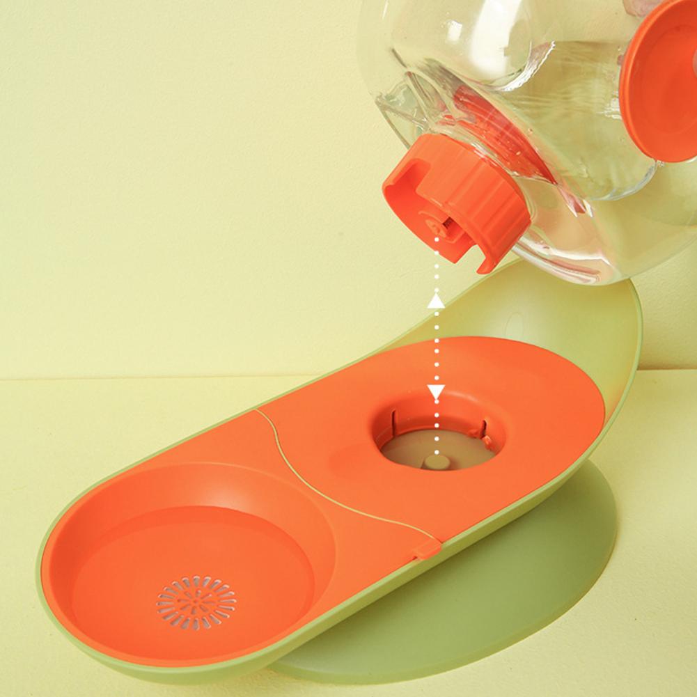Fontaine à eau pour chat design escargot – Hydratation silencieuse