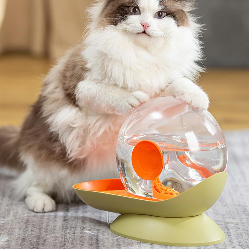 Fontaine à eau pour chat design escargot – Hydratation silencieuse