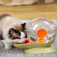 Fontaine à eau pour chat design escargot – Hydratation silencieuse