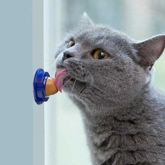 Friandise Murale au Catnip pour Chats