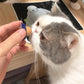 Friandise Murale au Catnip pour Chats