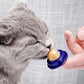 Friandise Murale au Catnip pour Chats
