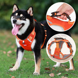 Harnais anti-traction chien : Harnais Anti-Traction Réglable