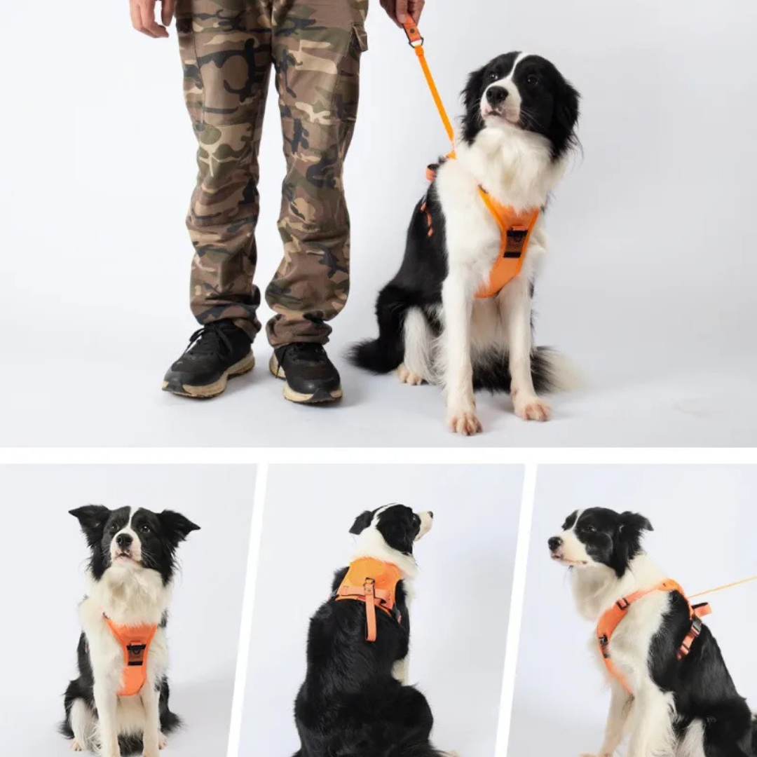Harnais Confort Total pour Chien – Anti-Traction & Respirant