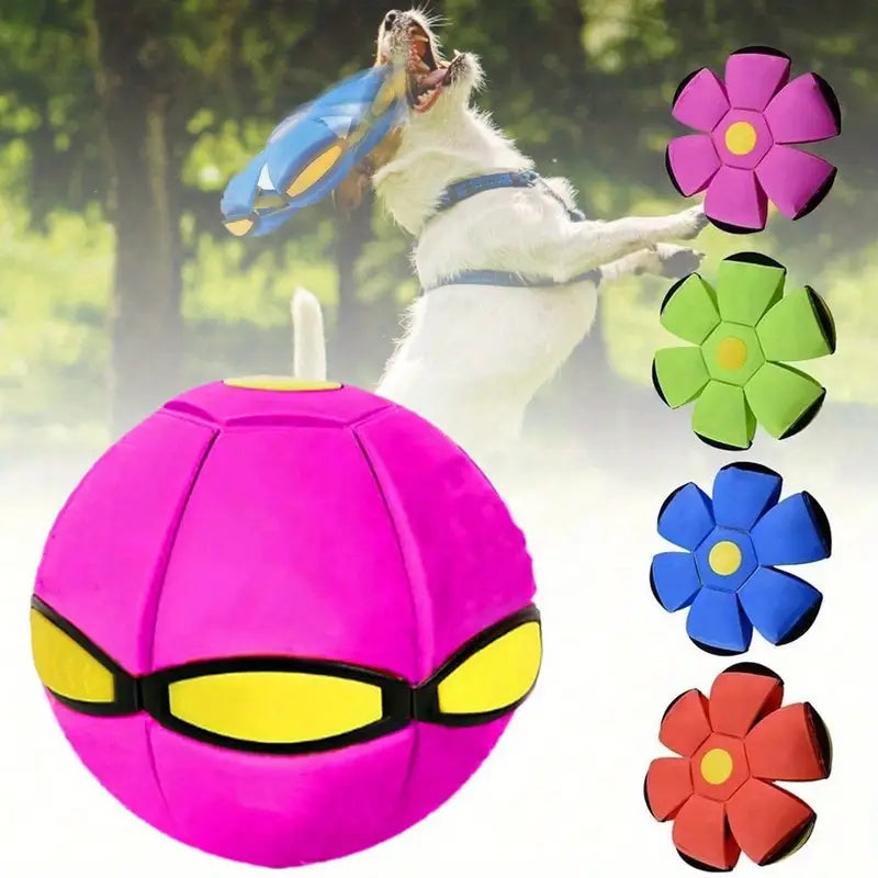 Balle Volante Magique pour Chiens