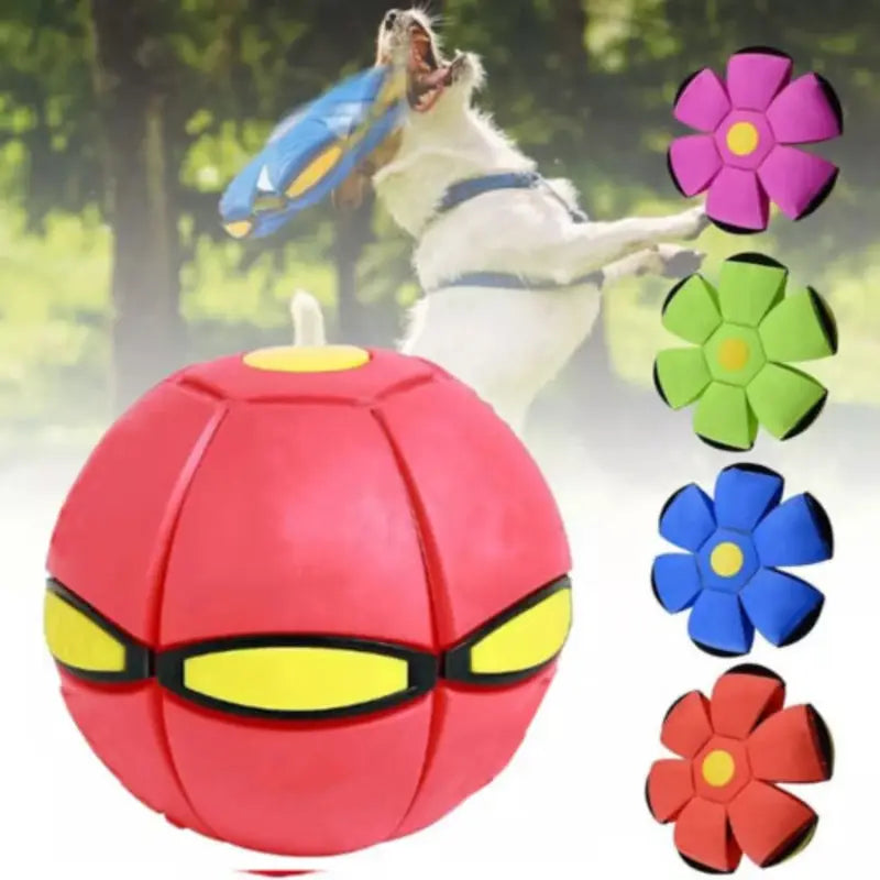 Balle Volante Magique pour Chiens