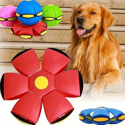 Balle Volante Magique pour Chiens
