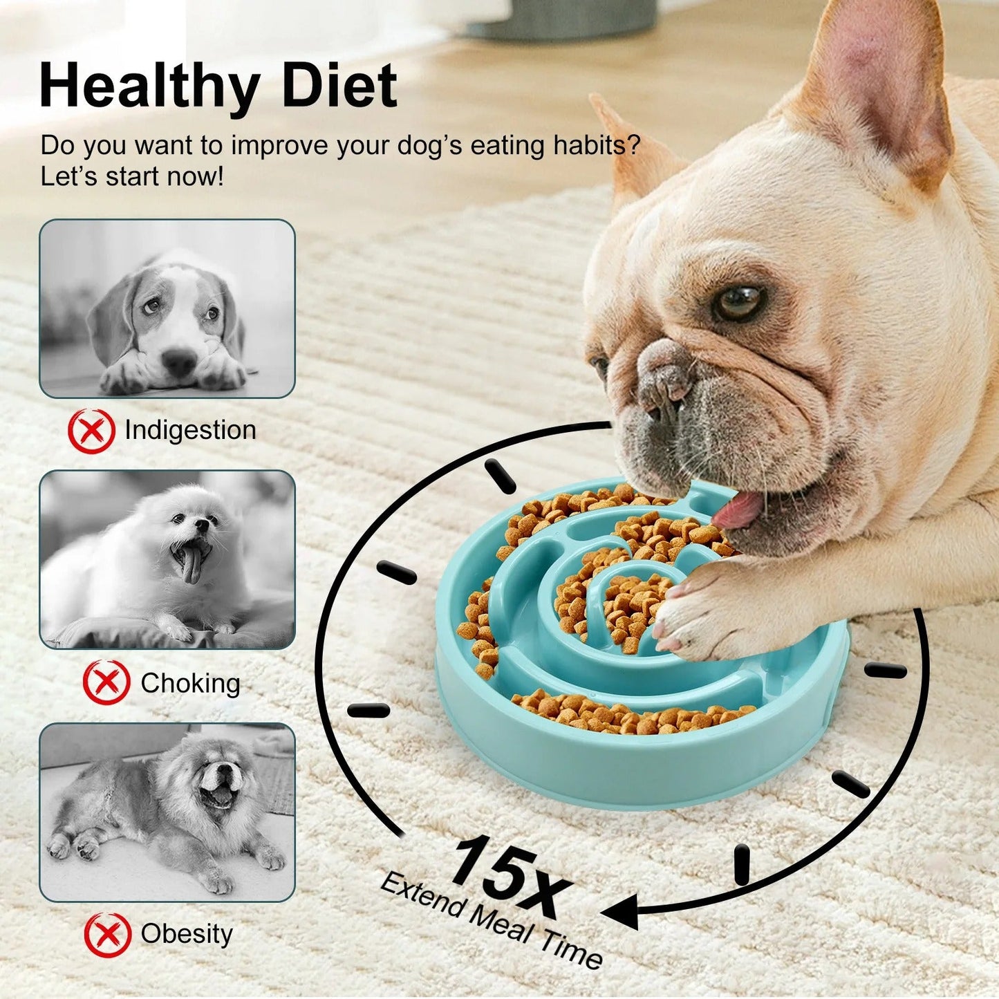 Gamelle Anti-Glouton pour Chien et Chat
