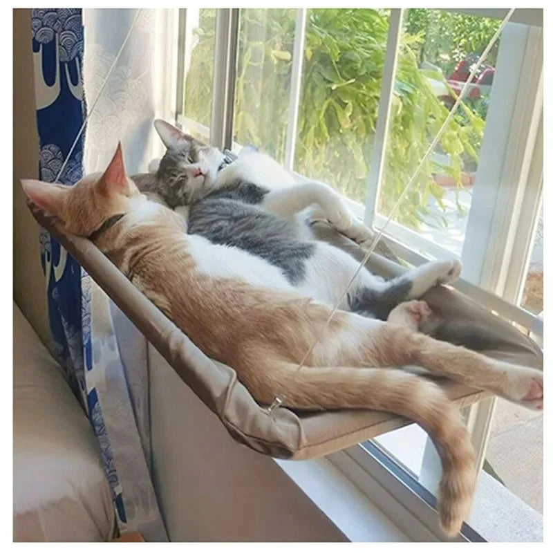 Hamac de fenêtre pour chat – Confort & bain de soleil