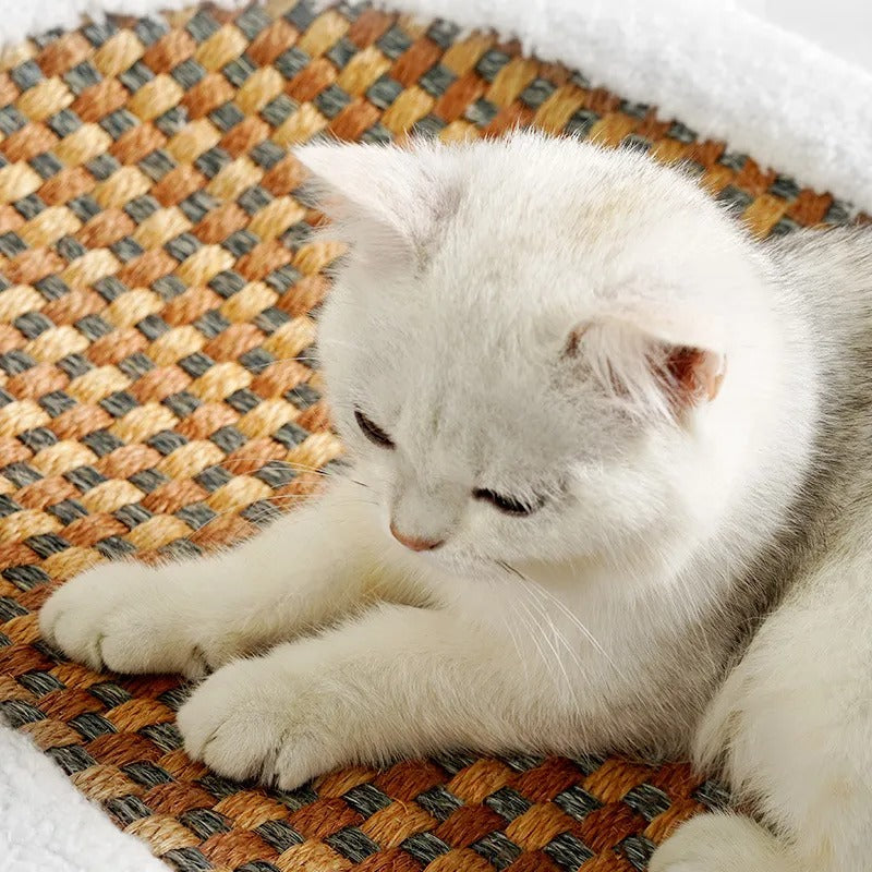Lit de Luxe pour Chat avec Griffoir – Confort & Bien-Être