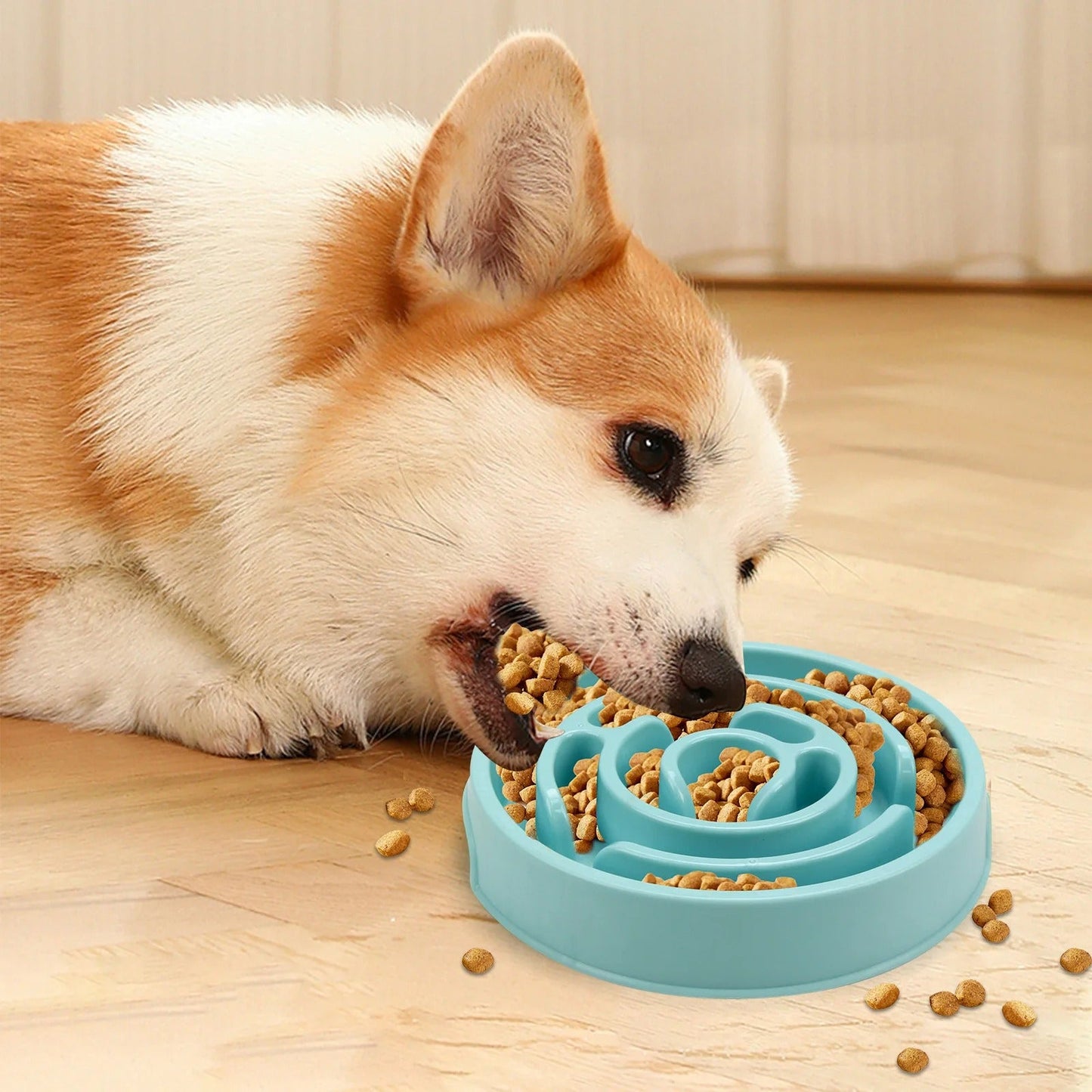 Gamelle Anti-Glouton pour Chien et Chat