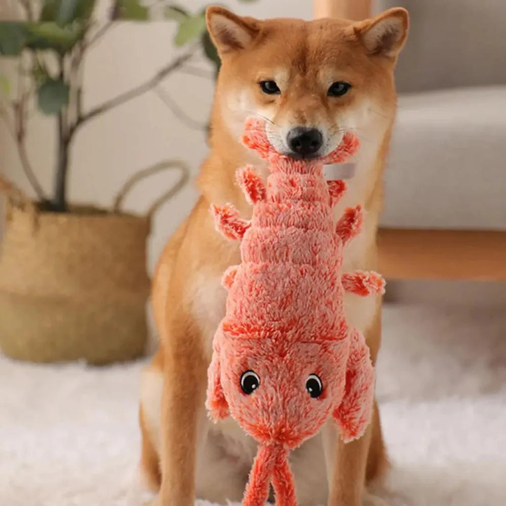 Jouet homard interactif pour chiens – Wiggly Lobster