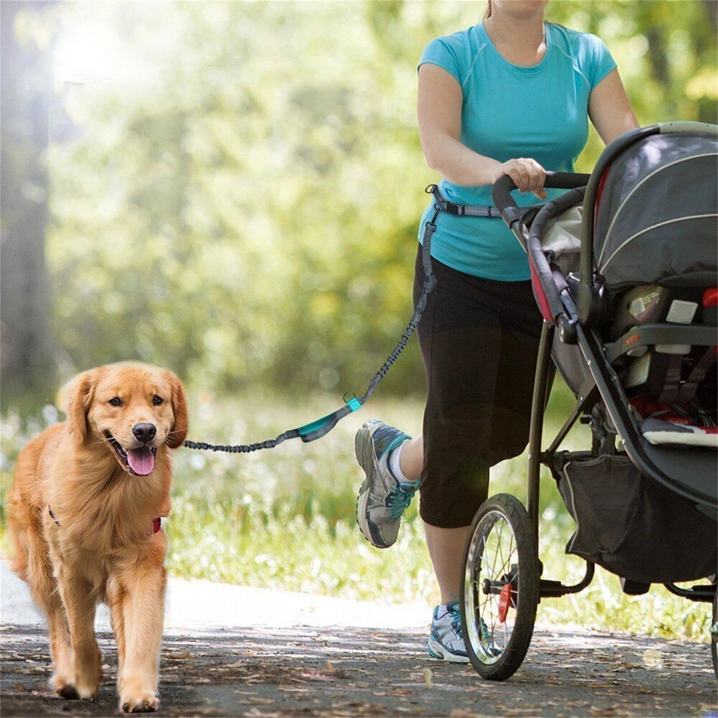 Laisse Mains Libres Course ou Randonnée pour Chien