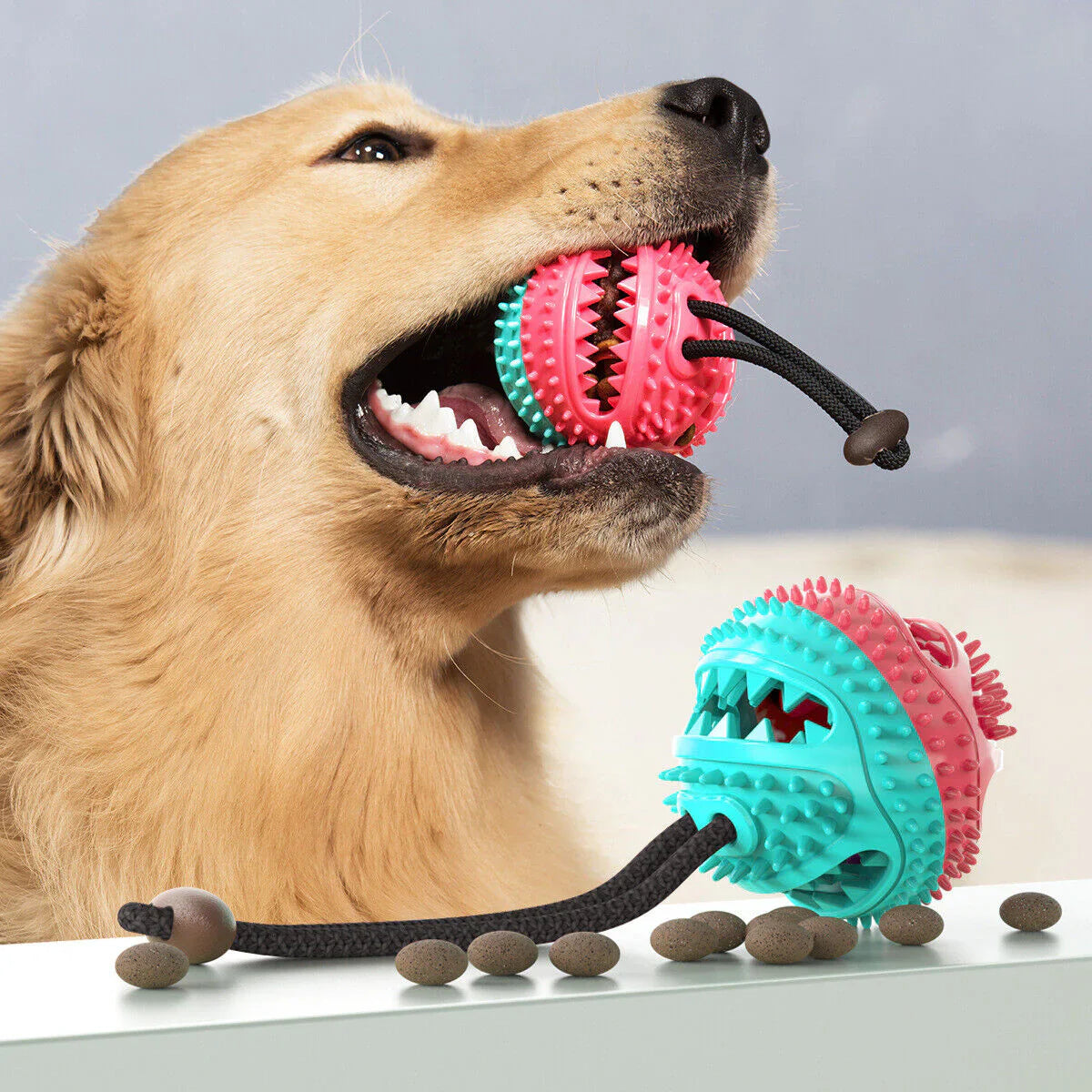Jouet à tirer PowerPaw pour chien – Résistant & interactif