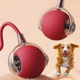 Balle interactive avec queue pour chien