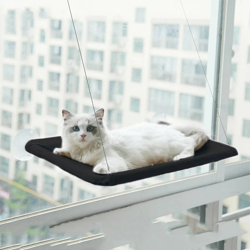 Hamac de fenêtre pour chat – Confort & bain de soleil