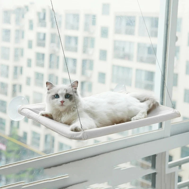 Hamac de fenêtre pour chat – Confort & bain de soleil