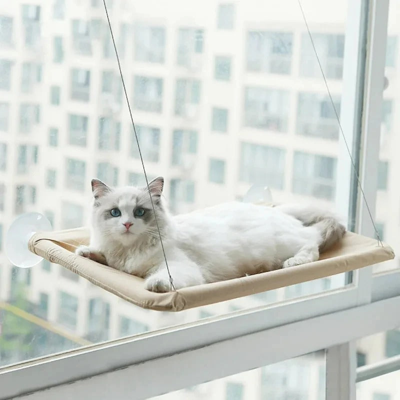 Hamac de fenêtre pour chat – Confort & bain de soleil